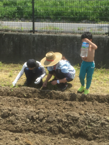 苗植え